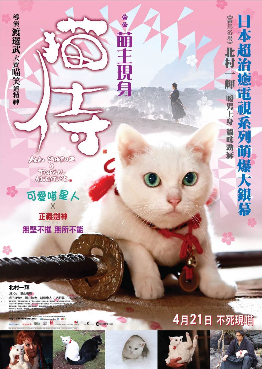 貓侍：萌主現身