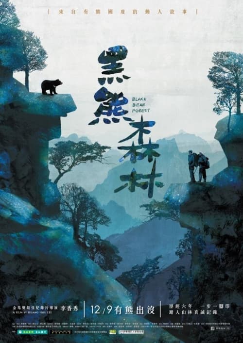 Black Bear Forest