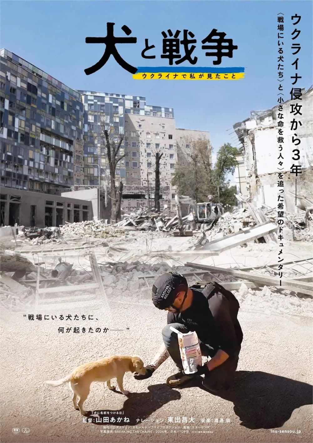 Dogs And War In Urkaine