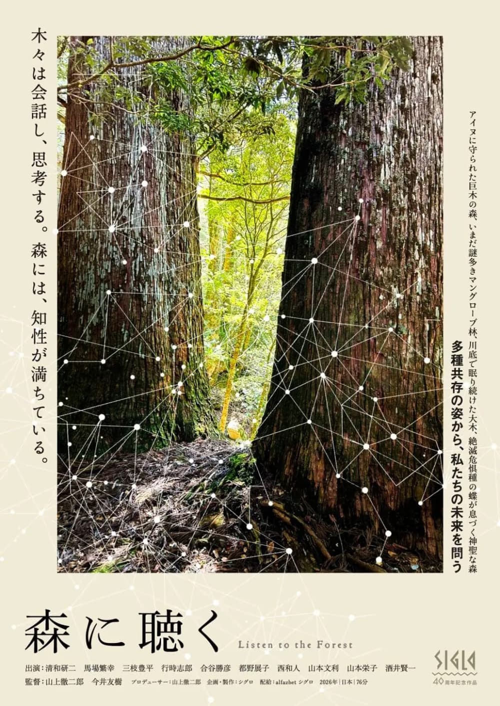 Listen To The Forest