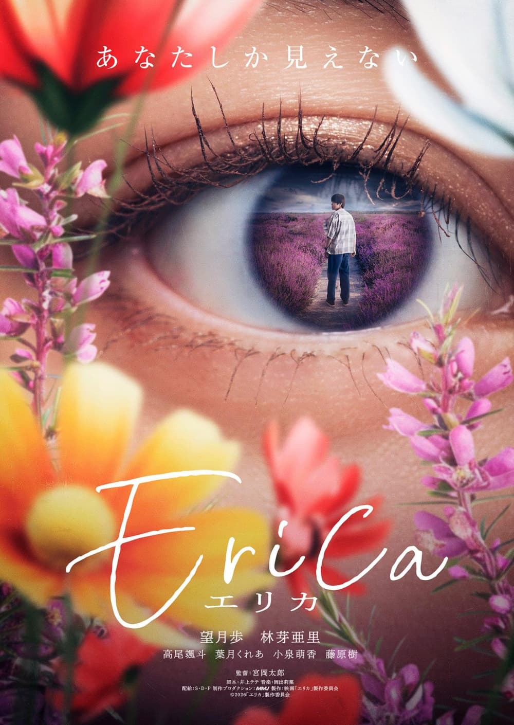 Erica