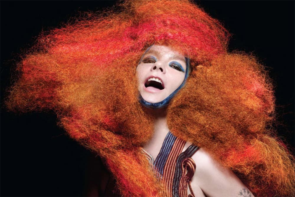 Bjork