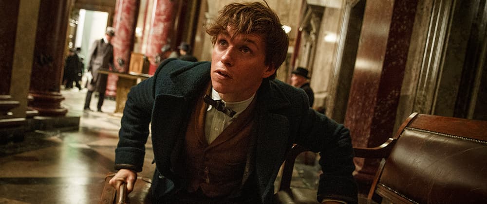 Revisit Magical World Of 'Harry Potter' In New 'Fantastic Beasts And Where To Find Them' Trailer