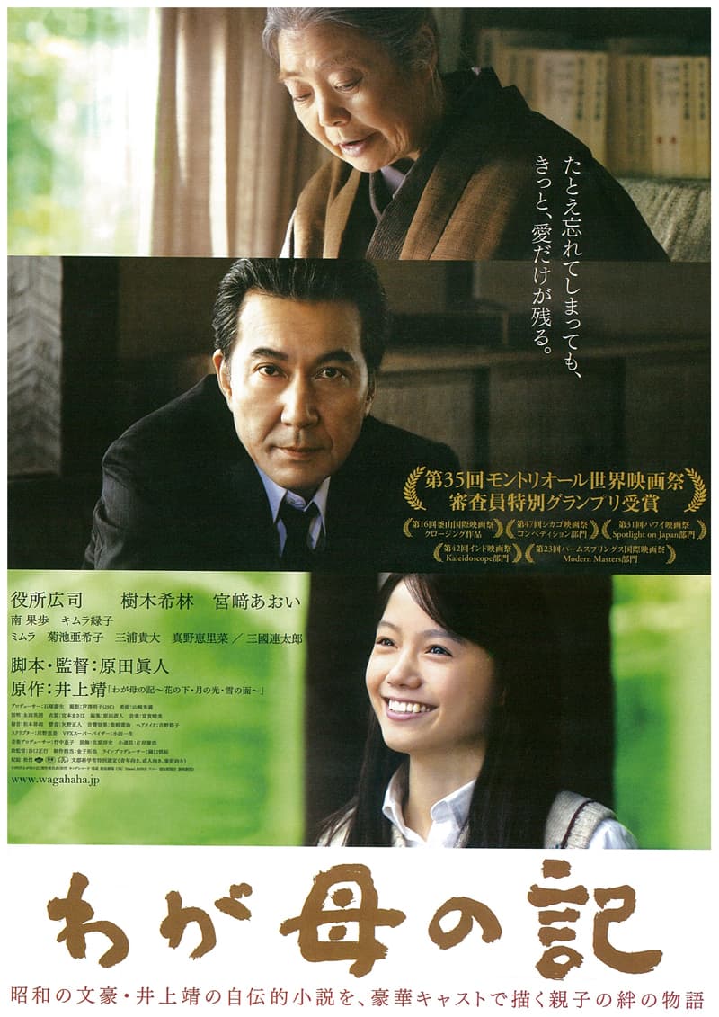 日本版ポスター
