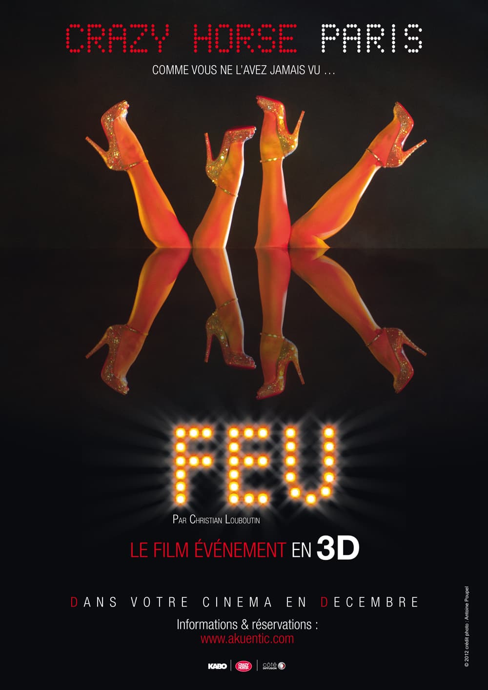 France Poster