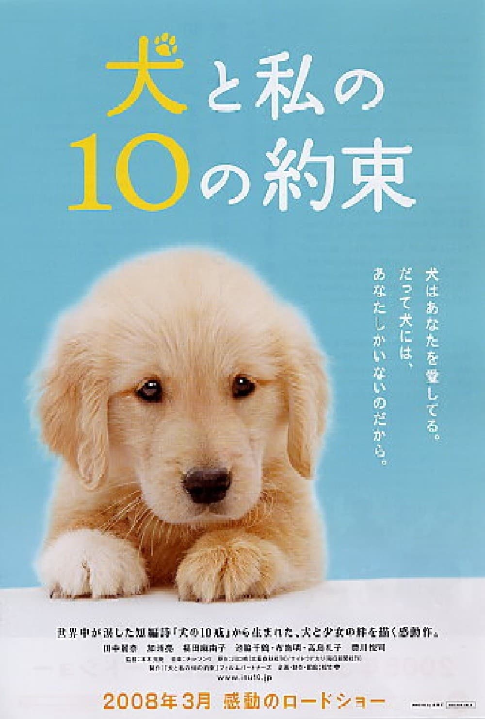 日本版ポスター