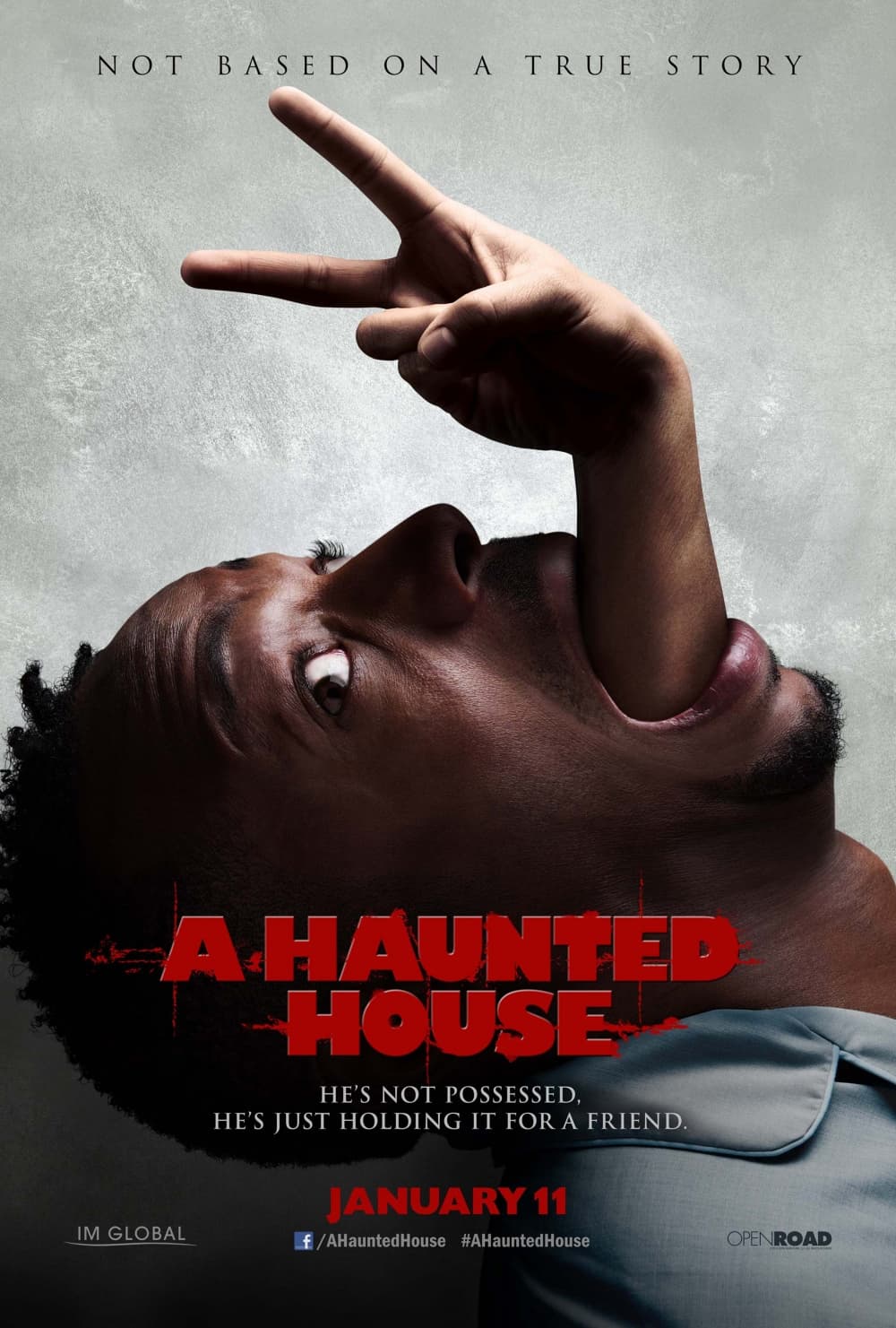 US Poster #5