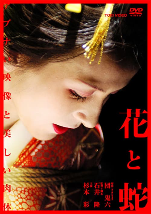 Japan DVD Cover
