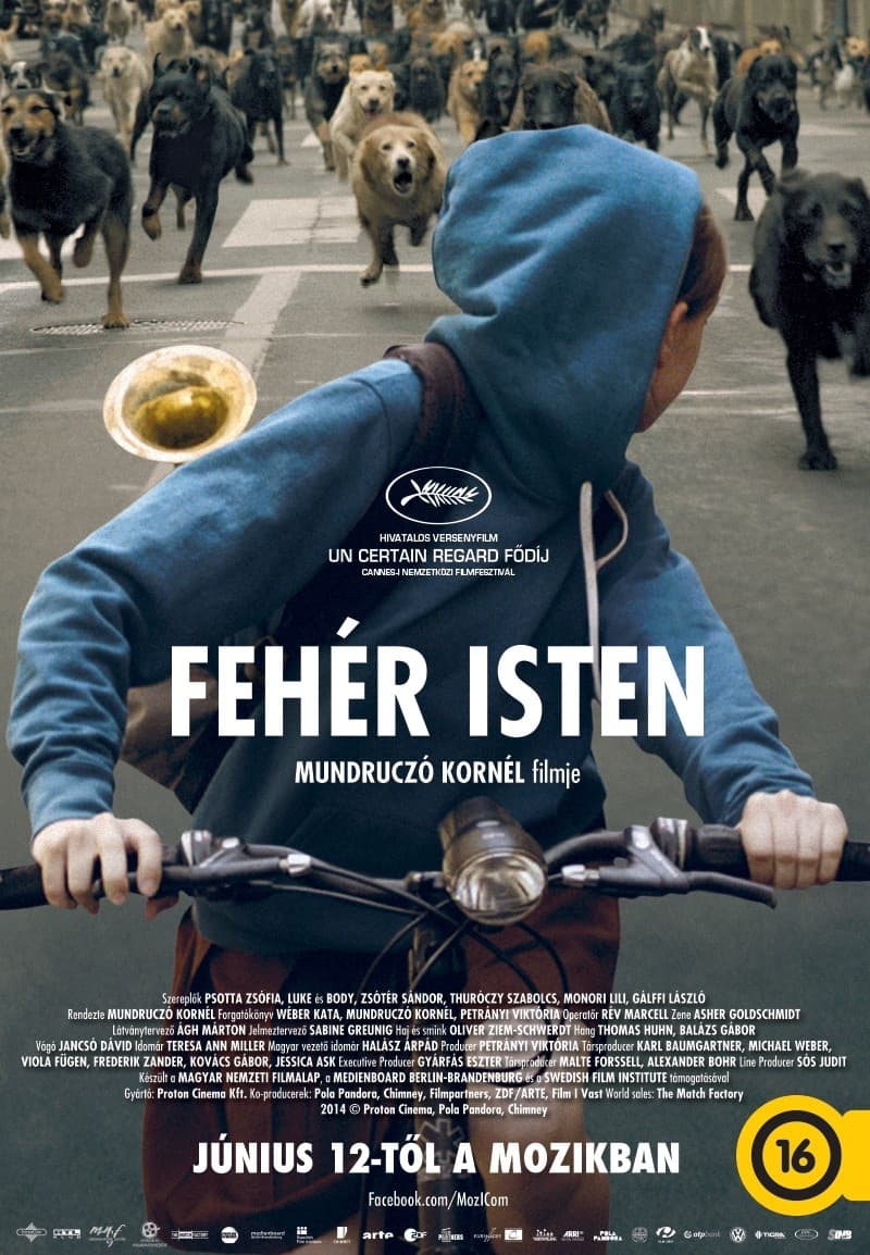 Hungary Poster
