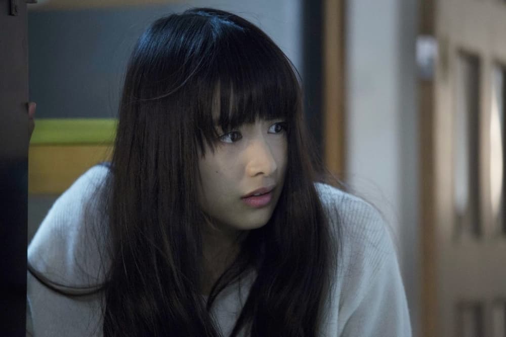 Sadako vs Kayako