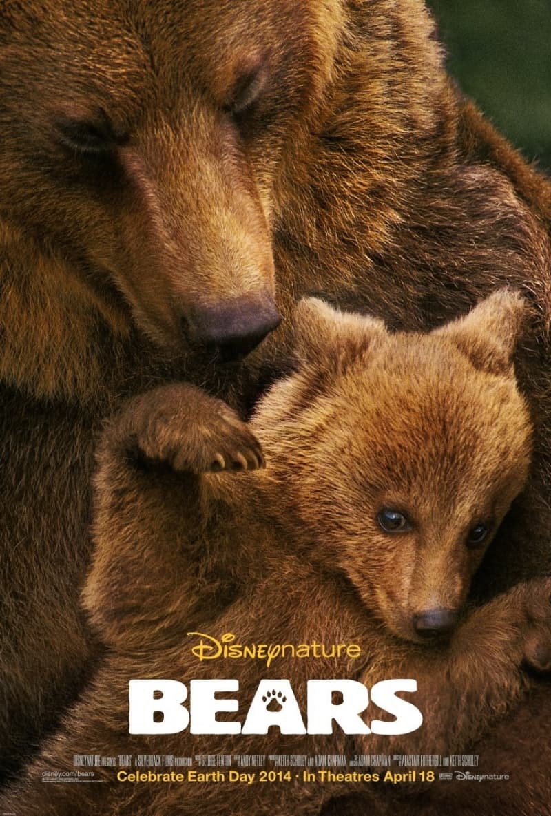 US Poster