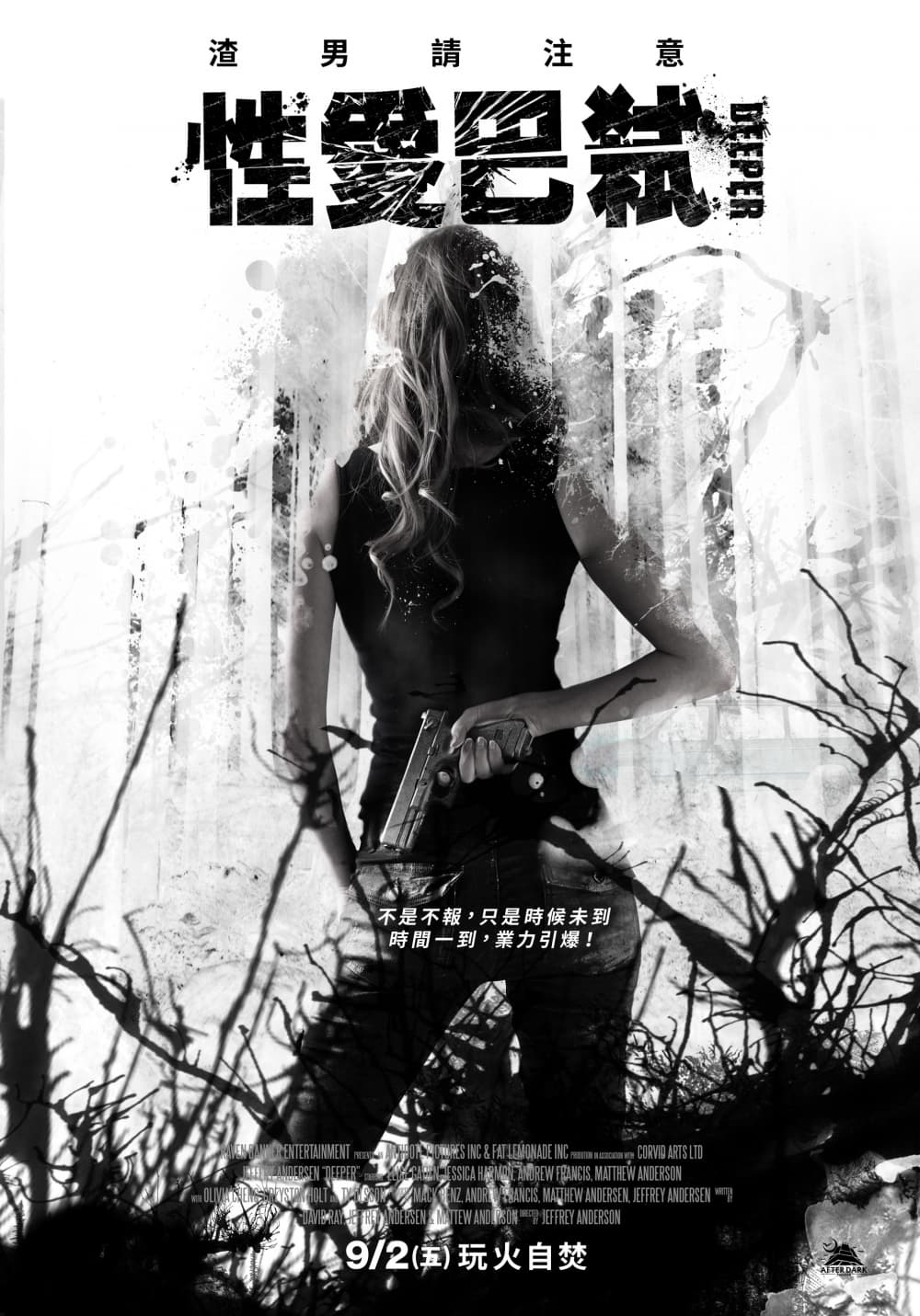 台湾版ポスター