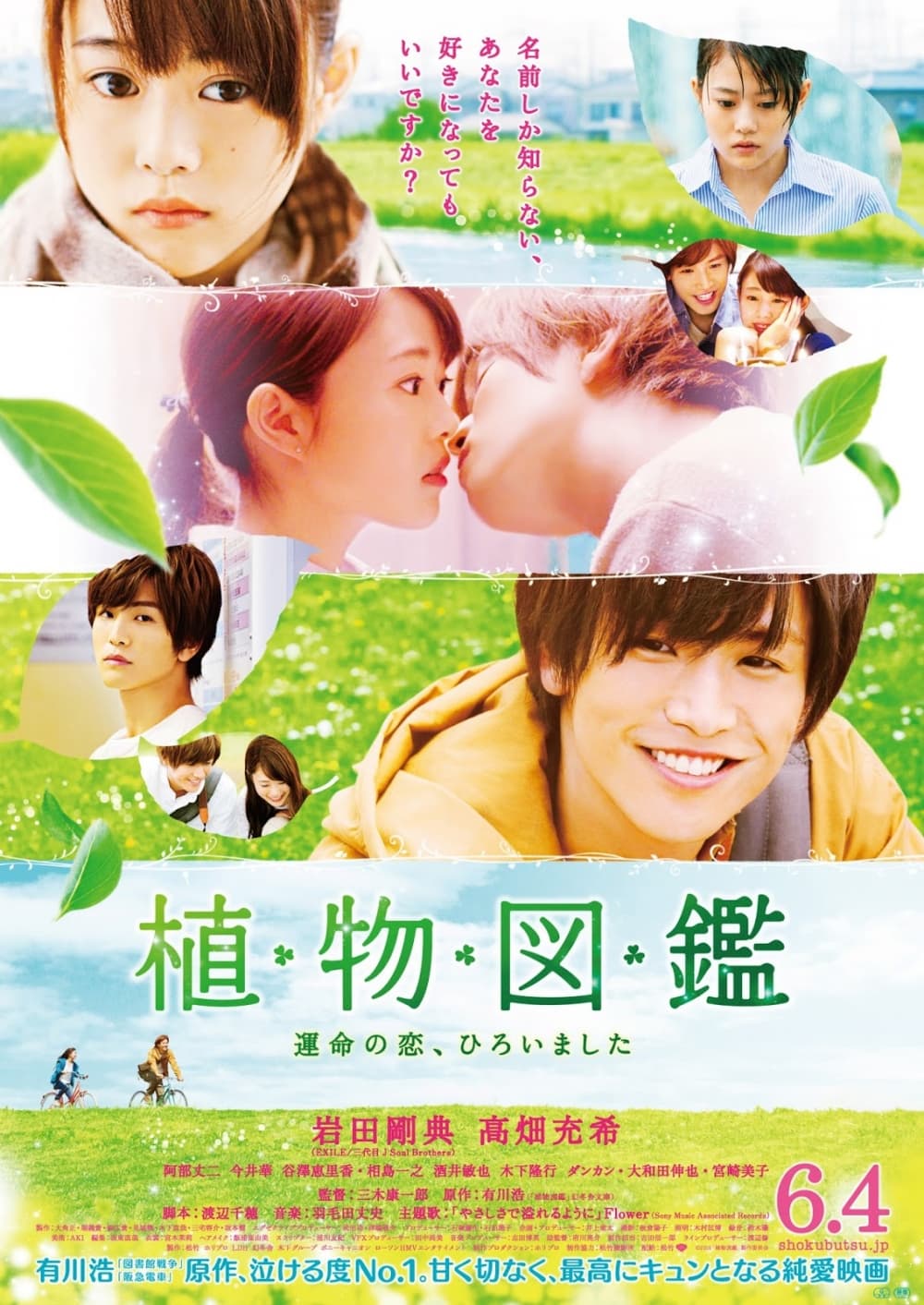 Japan Poster