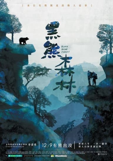 Black Bear Forest