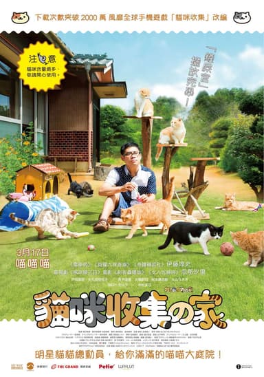 Neko Atsume House