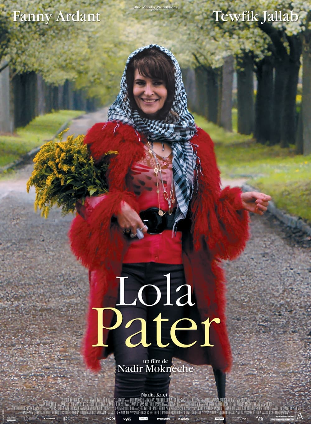 フランス版ポスター