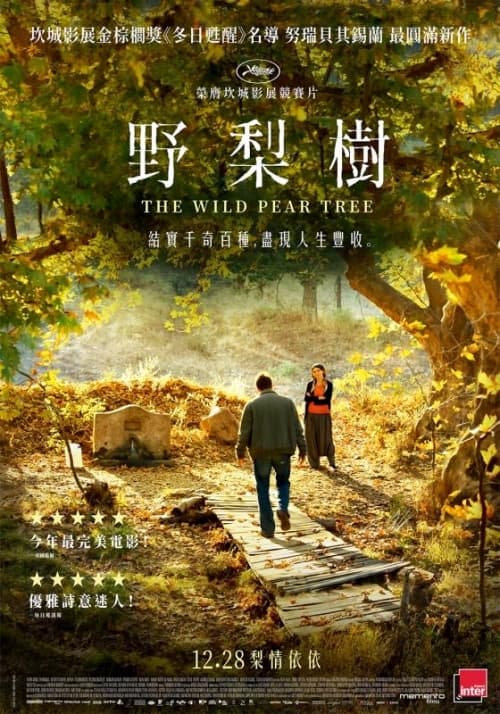 台灣版海報