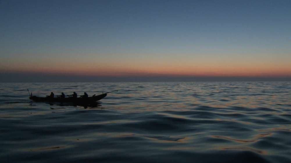 IMG_005.RAW
