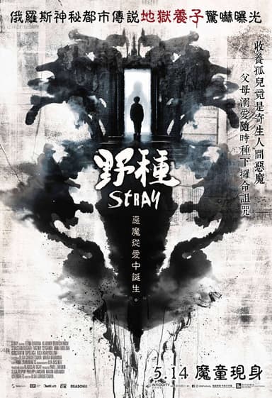 Stray
