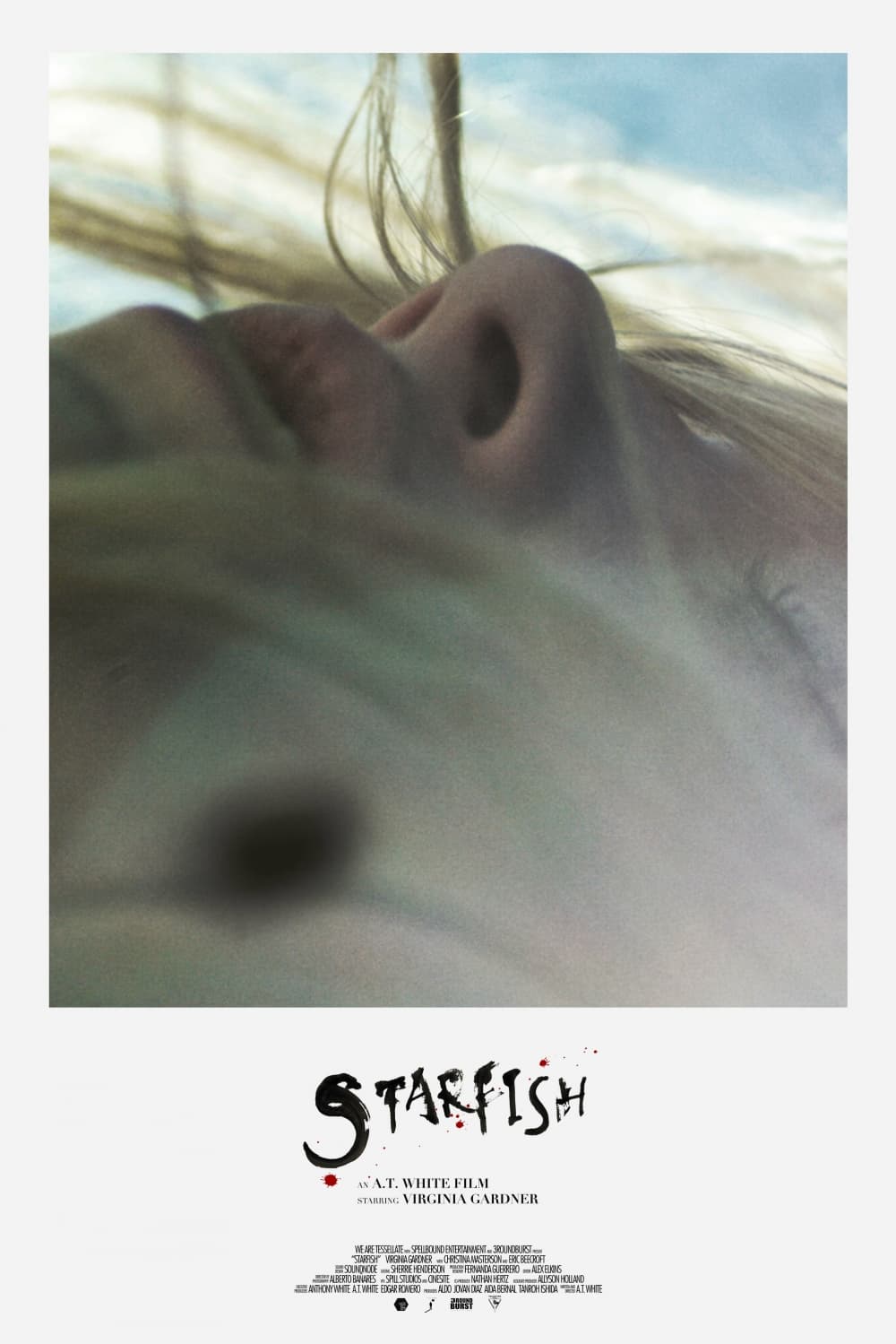 US Poster