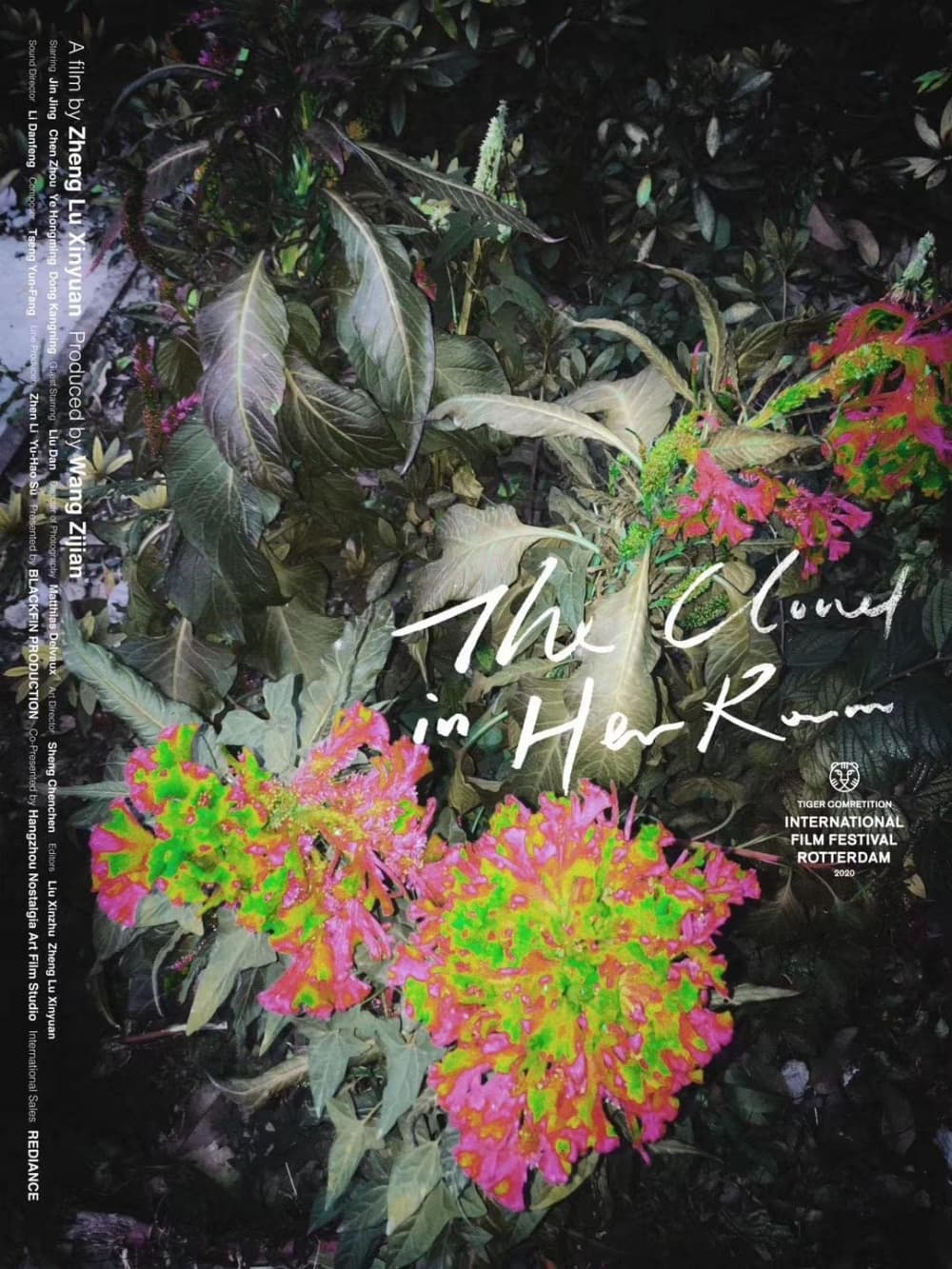 International Poster