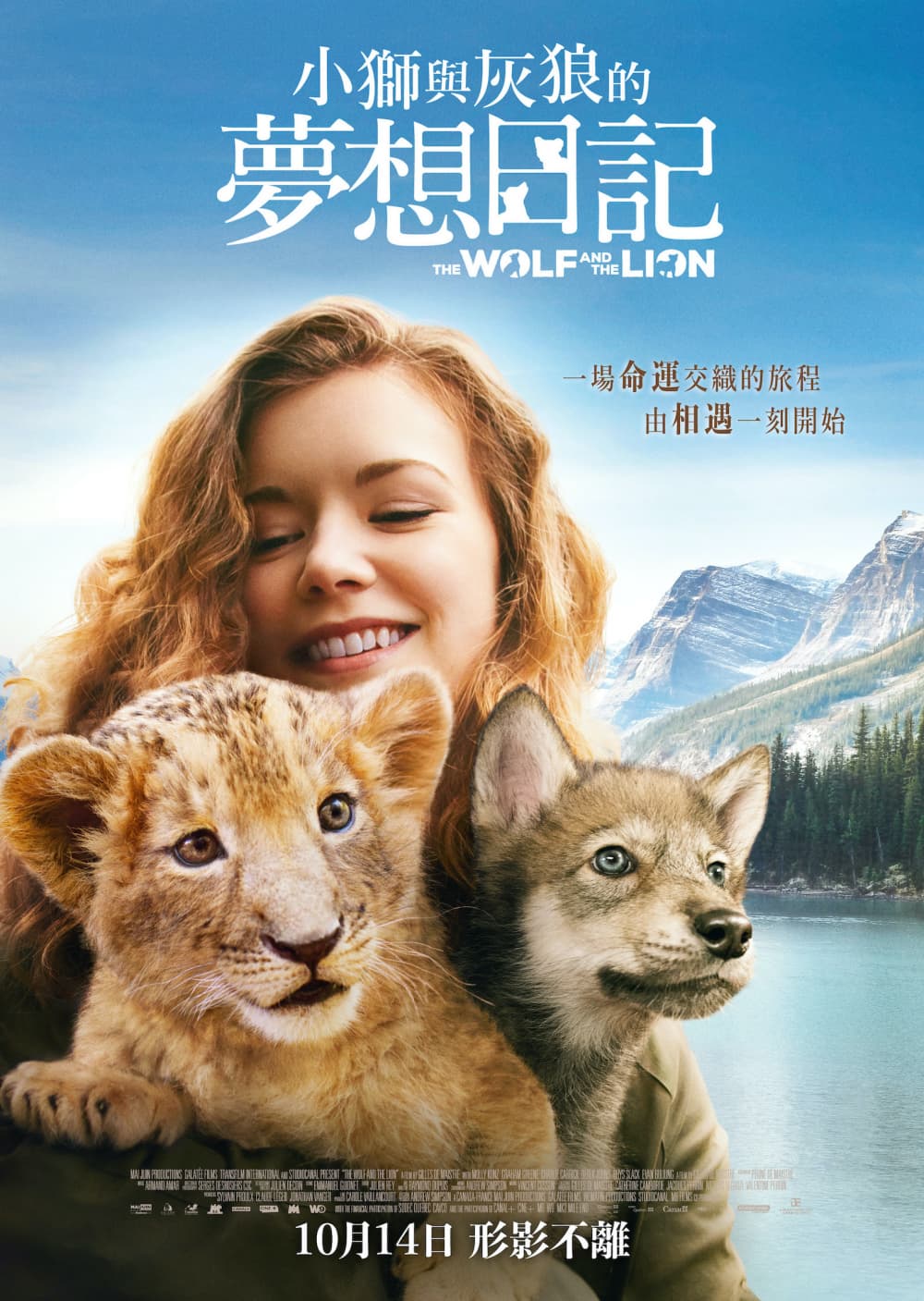 Hong Kong Poster
