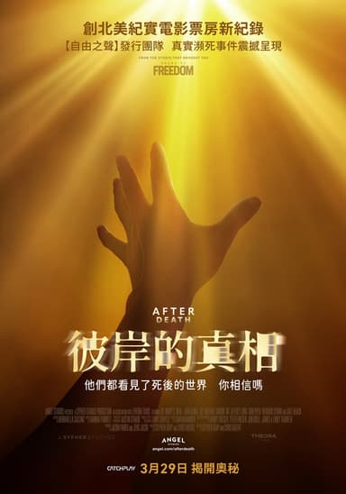 彼岸的真相
