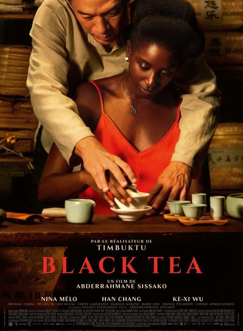 フランス版ポスター