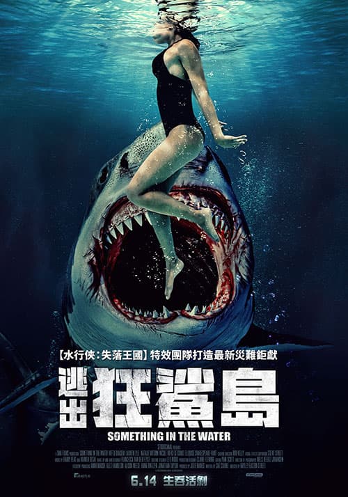 台湾版ポスター