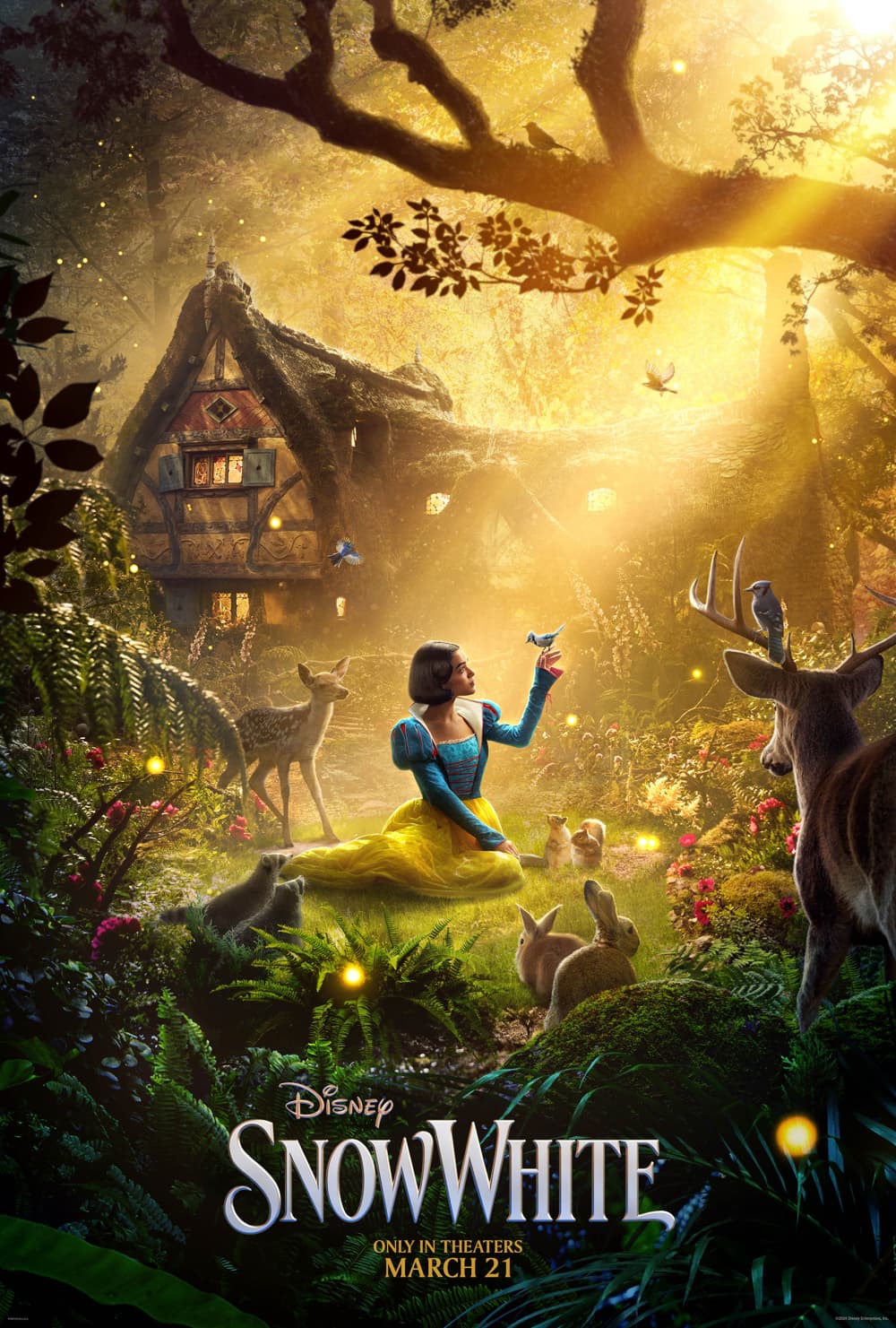 US Poster