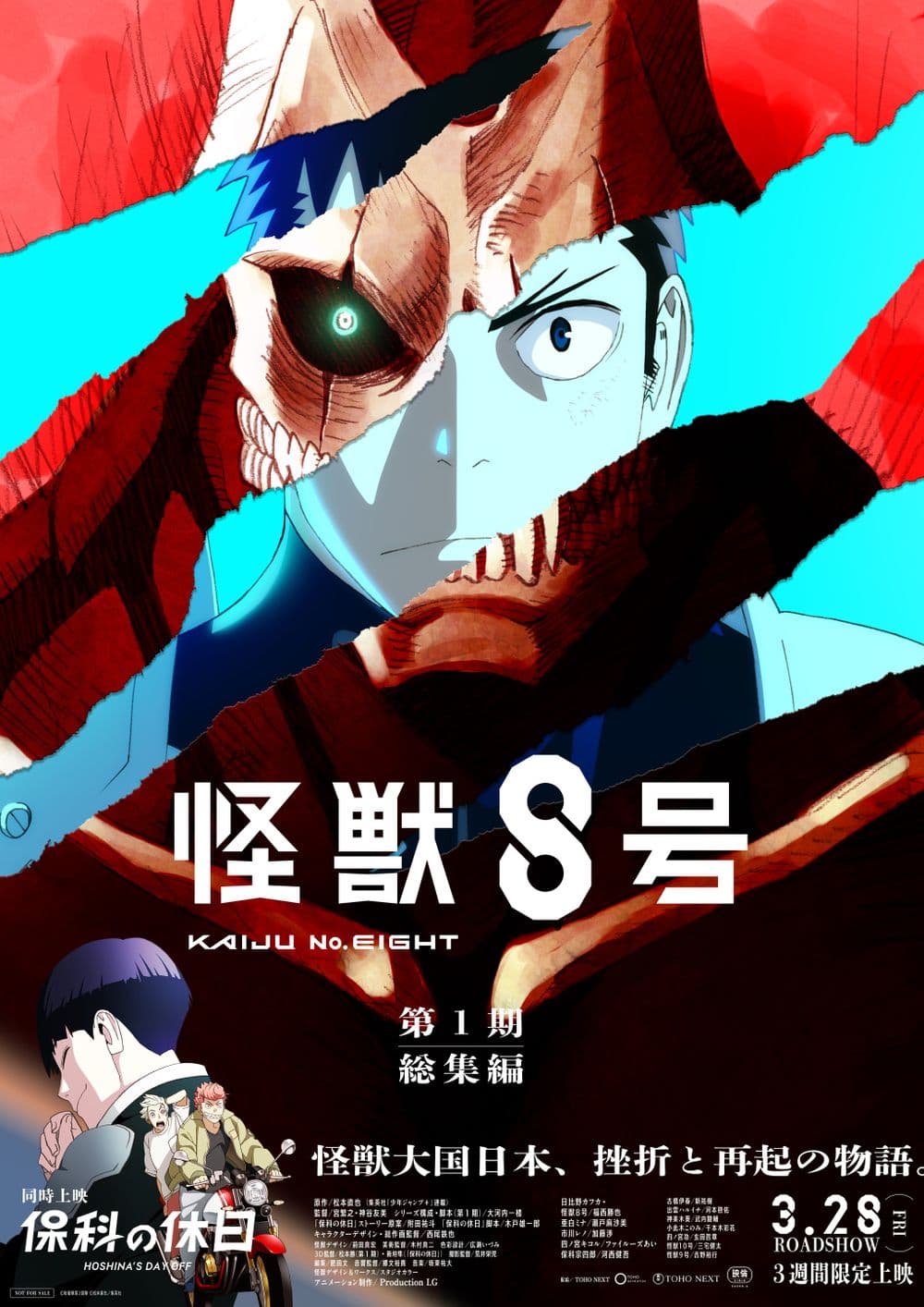 Japan Poster