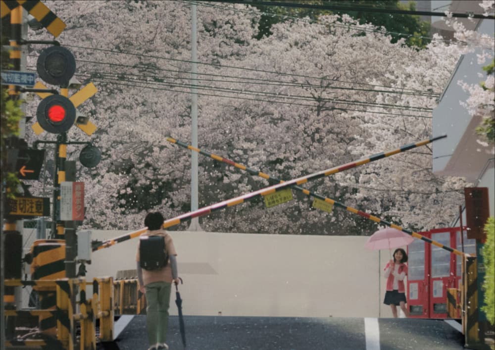 秒速5公分
