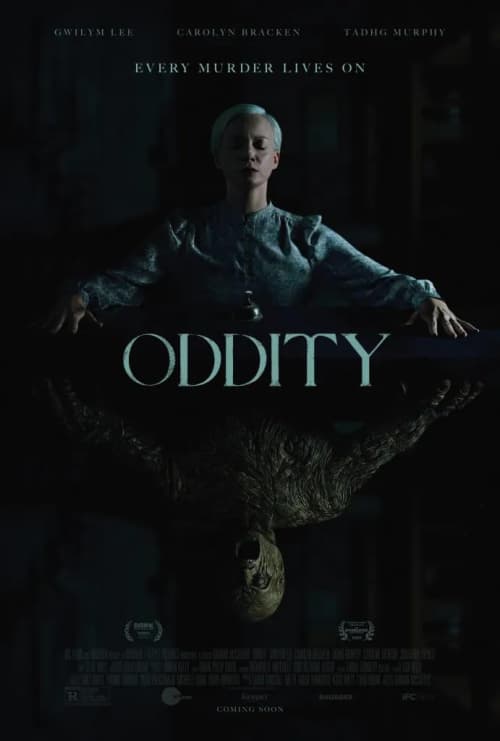 アイルランド版ポスター