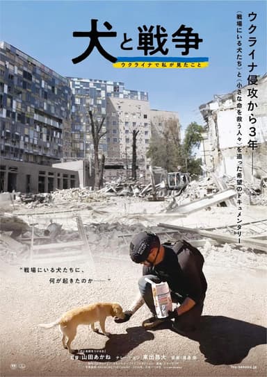 Dogs And War In Urkaine
