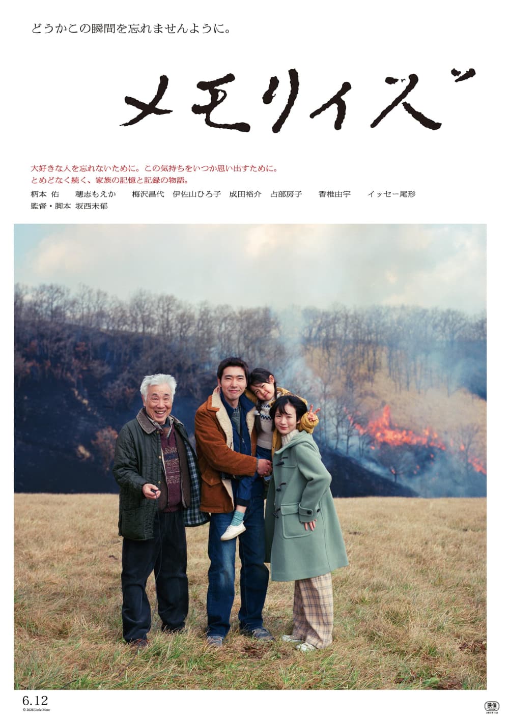 日本版ポスター