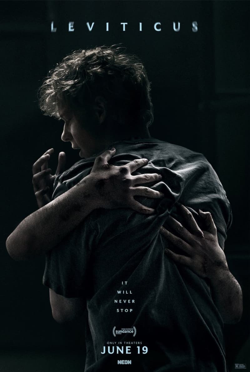 US Poster #2