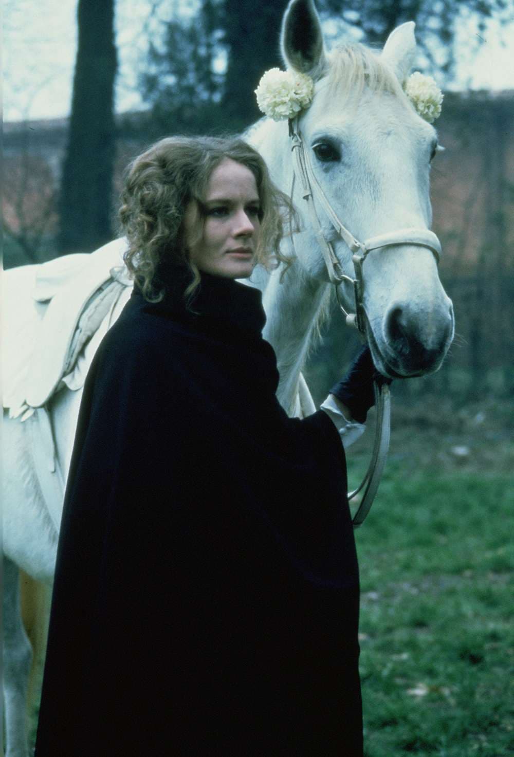 [ Movie Image ]
