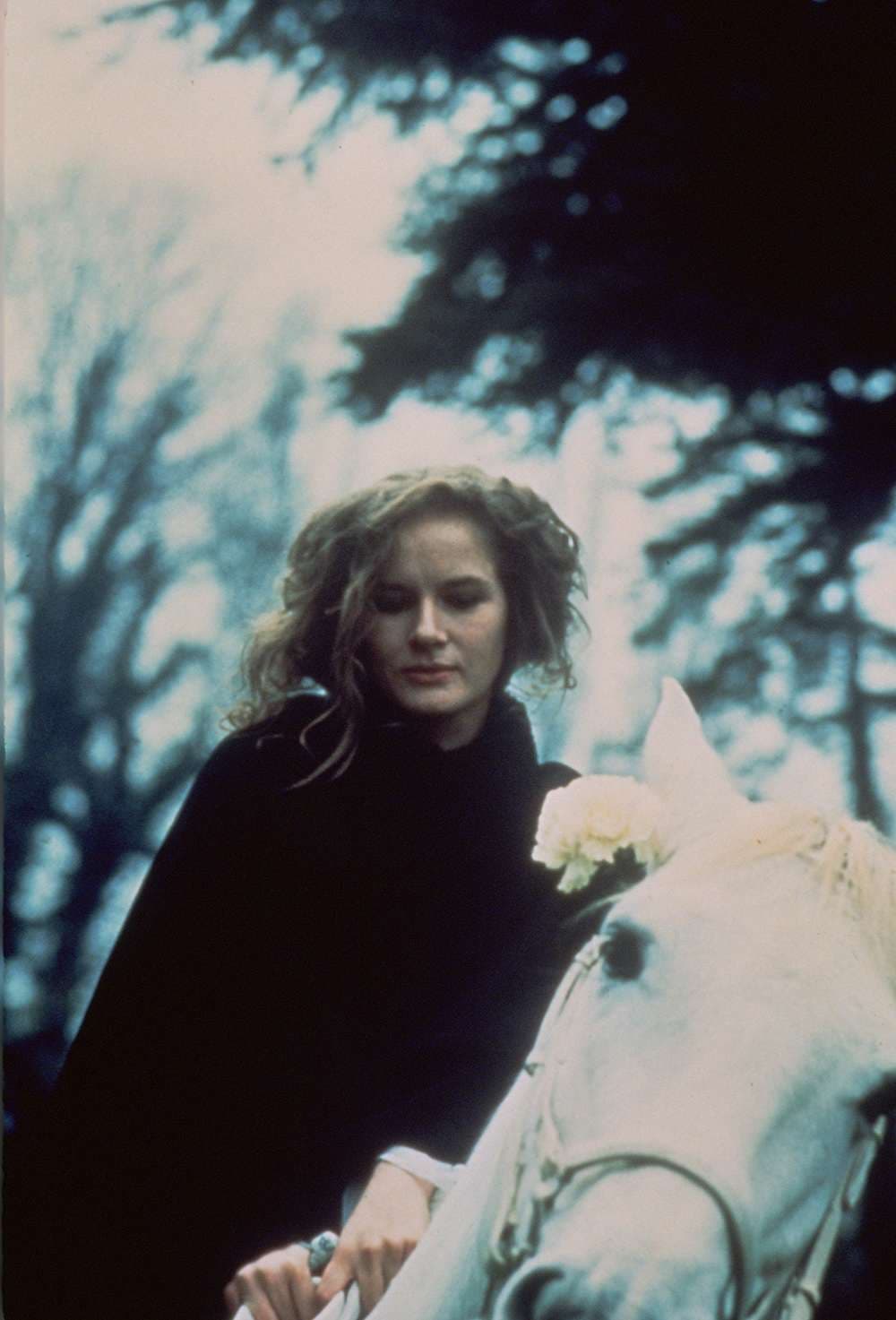 [ Movie Image ]