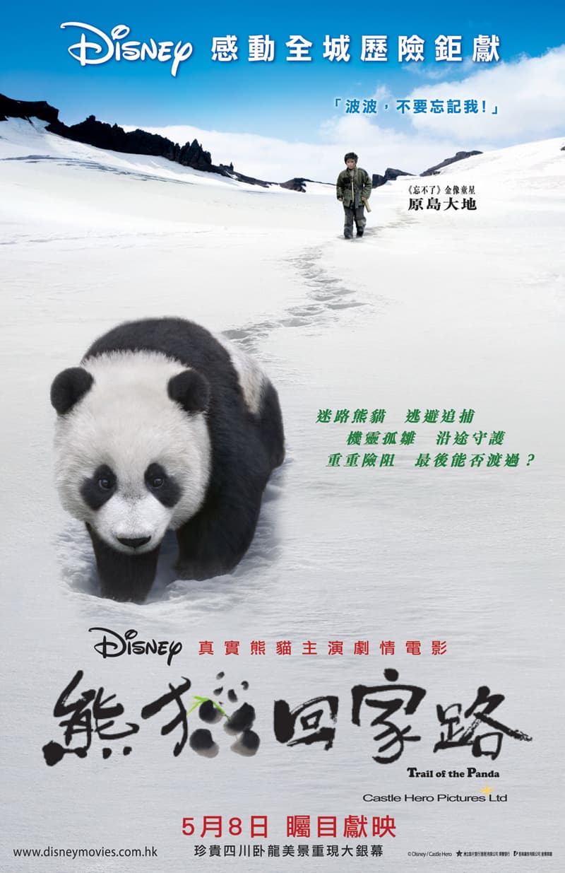 Hong Kong Poster