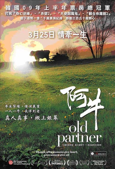 阿牛