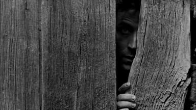 The Occupant