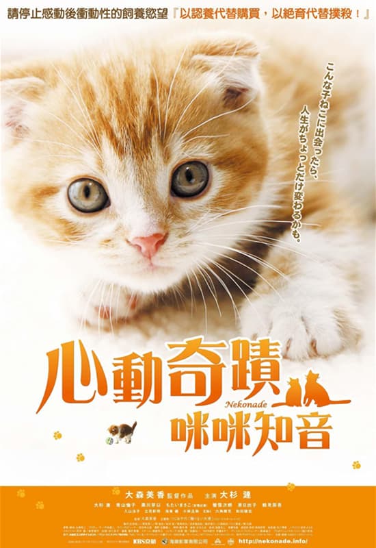 Hong Kong Poster