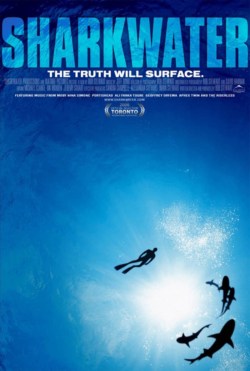 US Poster