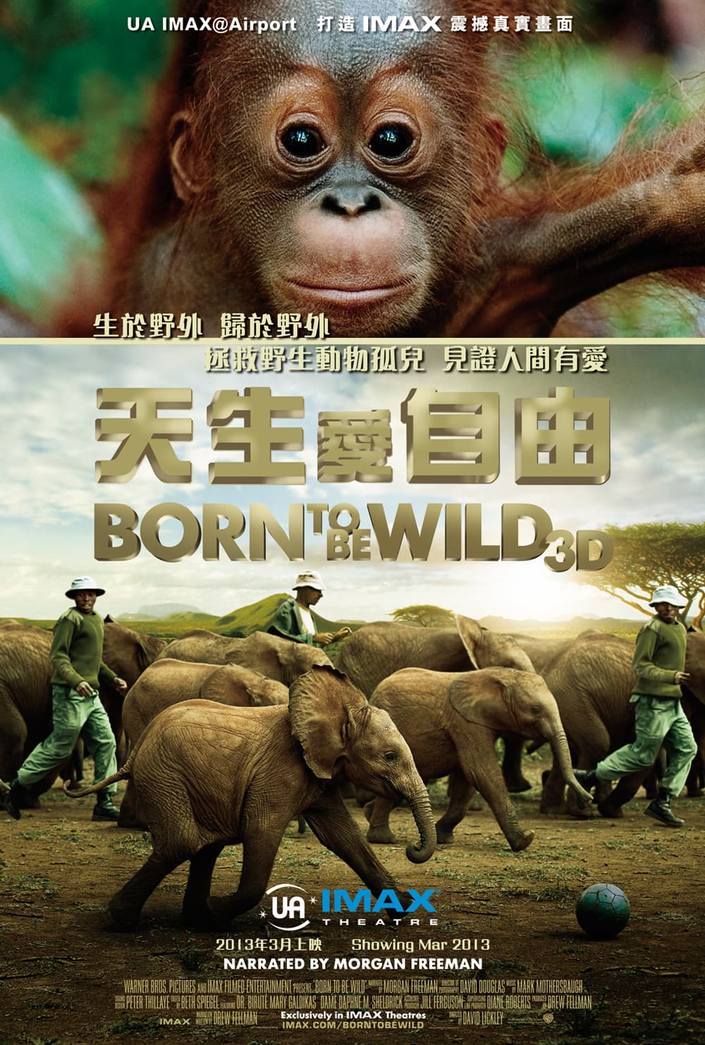 Hong Kong IMAX Poster