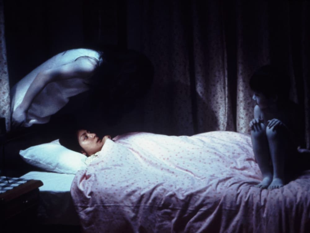 Ju-on: The Grudge