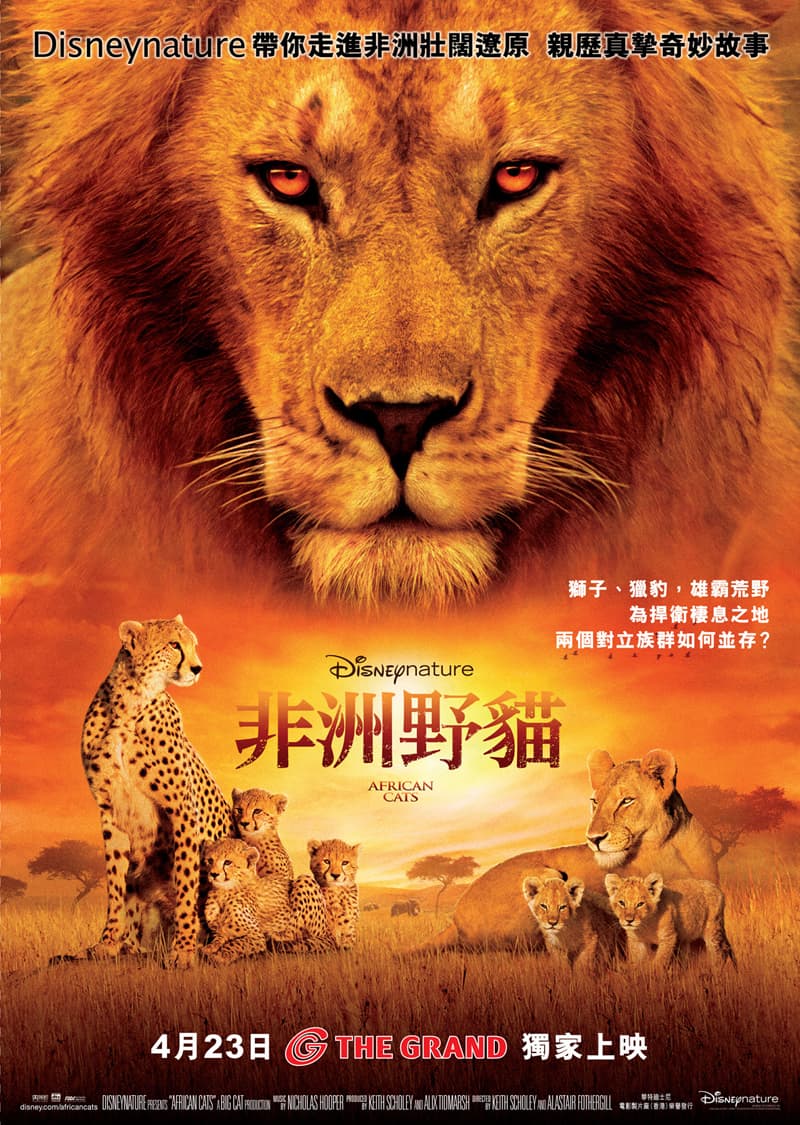 香港版ポスター