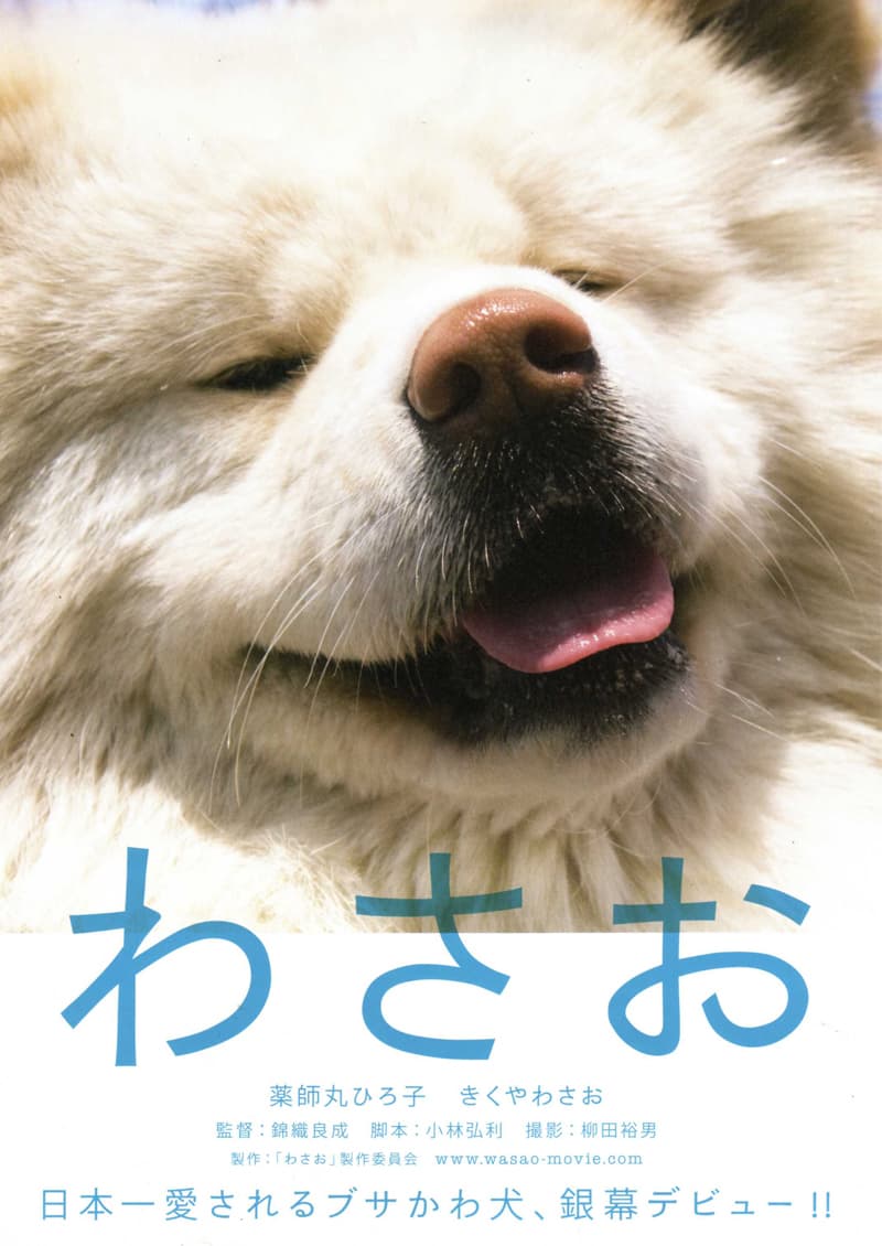 Japan Poster