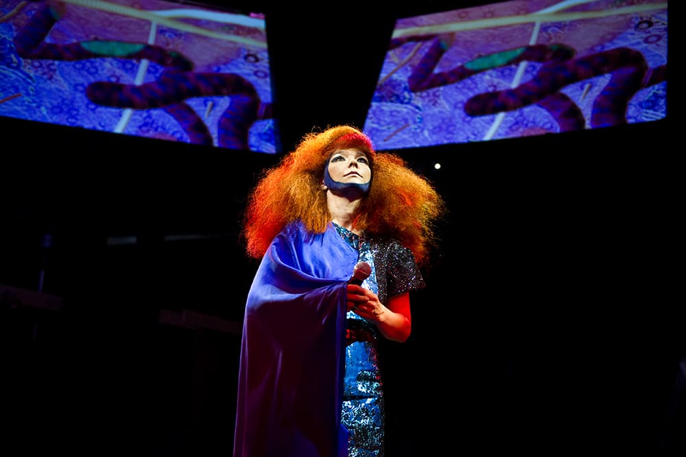 Björk Announces 9th Album 'Vulnicura'