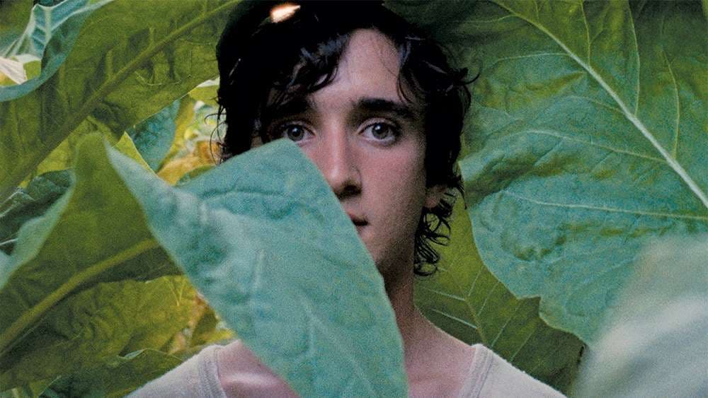 Lazzaro Felice