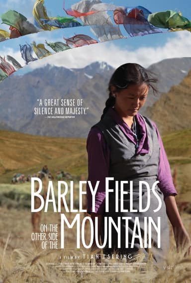 Barley Fields On The Other Side Of The Mountain